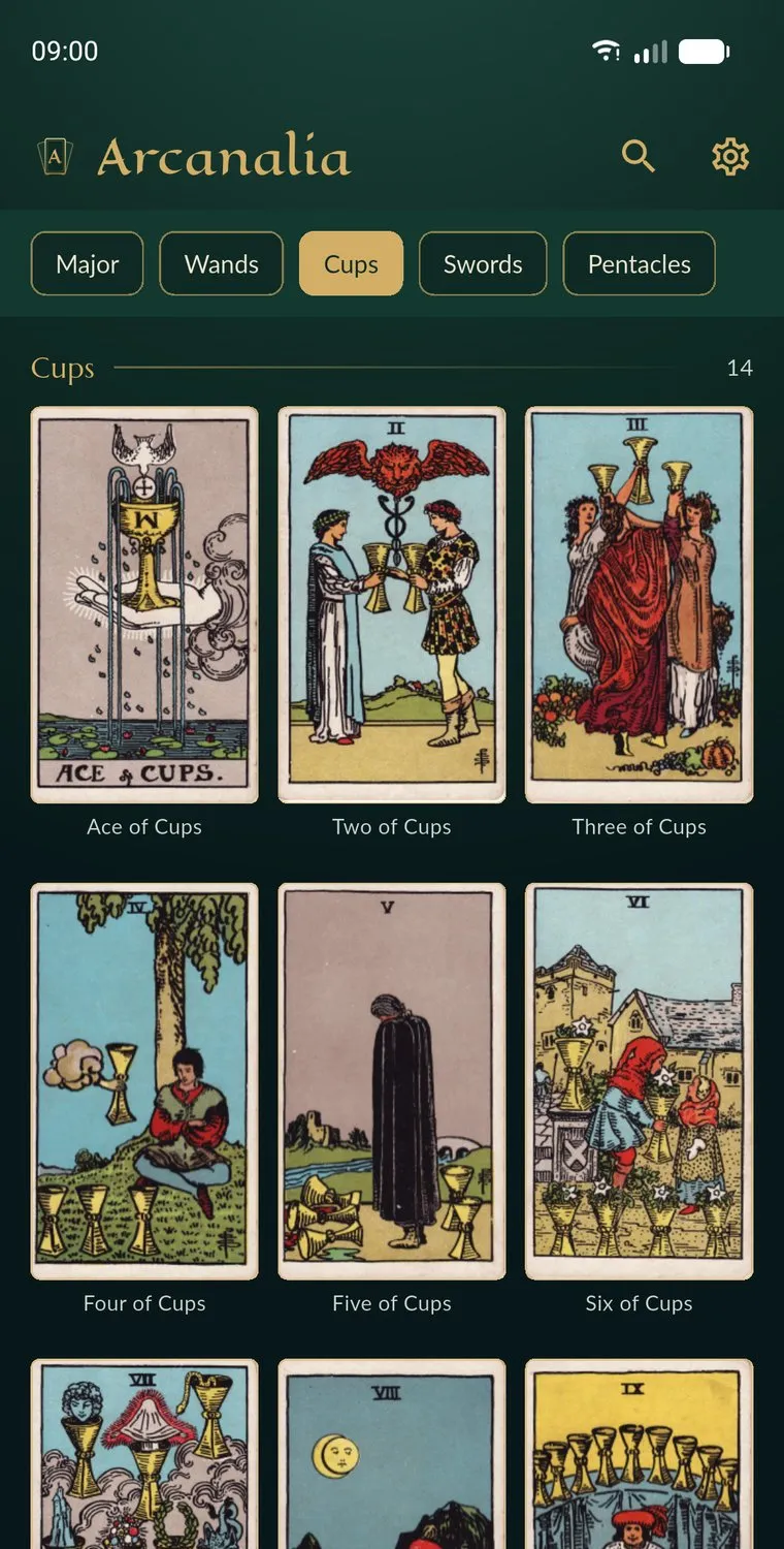 The library, showing the Cups cards